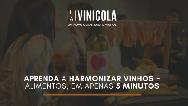 E-book Aprenda a harmonizar vinhos e alimentos, em apenas 5 minutos