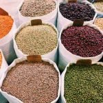 01_Categoria leguminosas